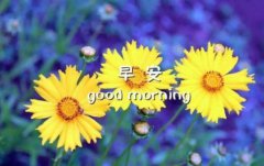 关于春天的句子36条