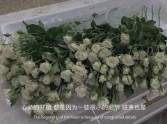 适合发朋友圈的唯美句子文案（精选45句）